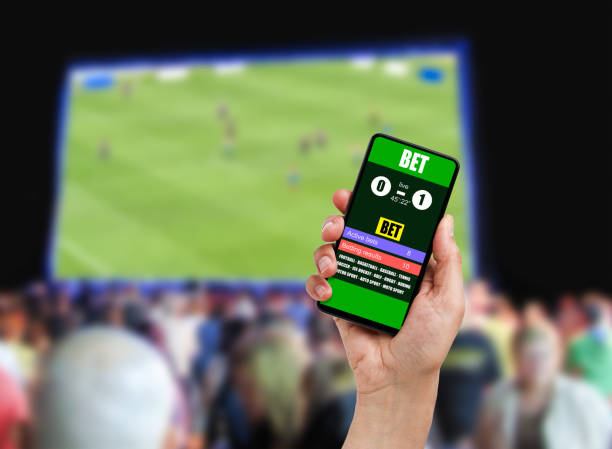 How to Make the Most of the K9win App for Betting Success