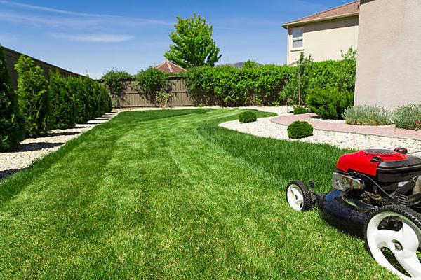 Crafting Beautiful Lawns in Fayetteville—Our Landscaping Promise